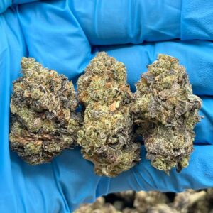 GMO COOKIES BREAKDOWN  - BUG512GM