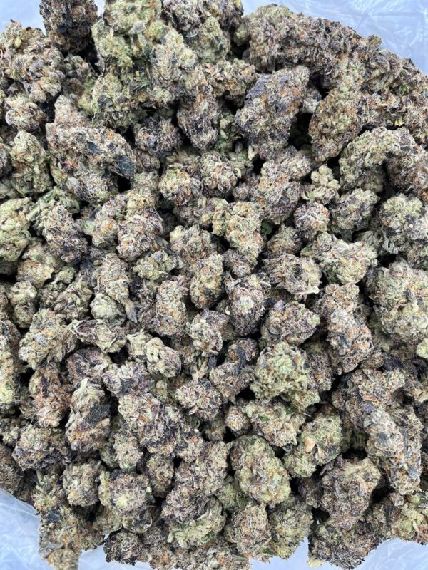 GMO COOKIES BREAKDOWN - BUG512GM