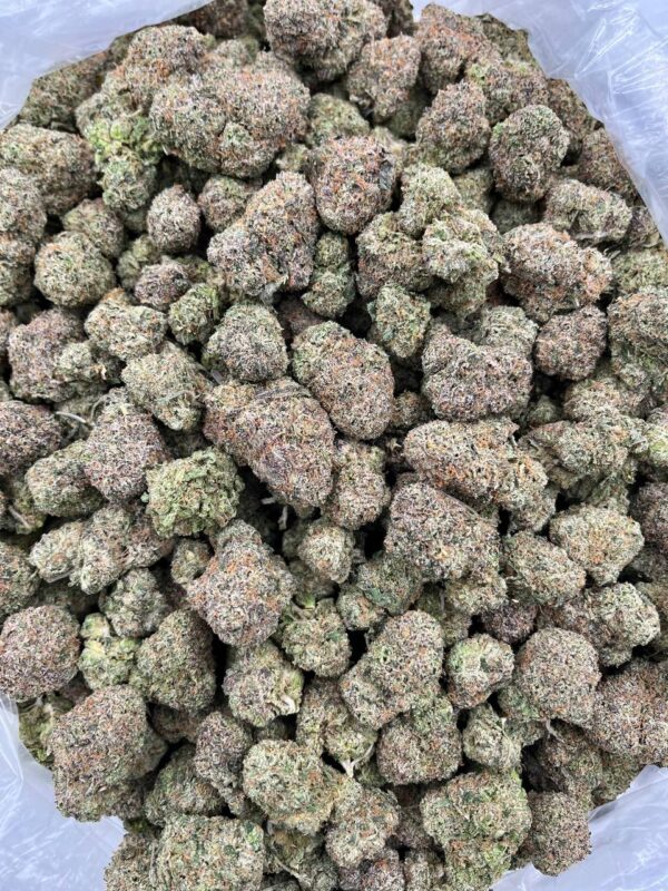 MILKSHAKE - HB610M