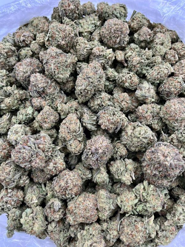 STRAWBERRY SHORTCAKE - HT507SS