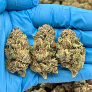 PINK COOKIES - JL512PC