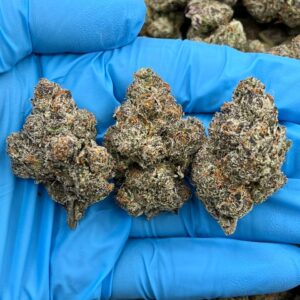 PURPLE RAIN - JL601PR