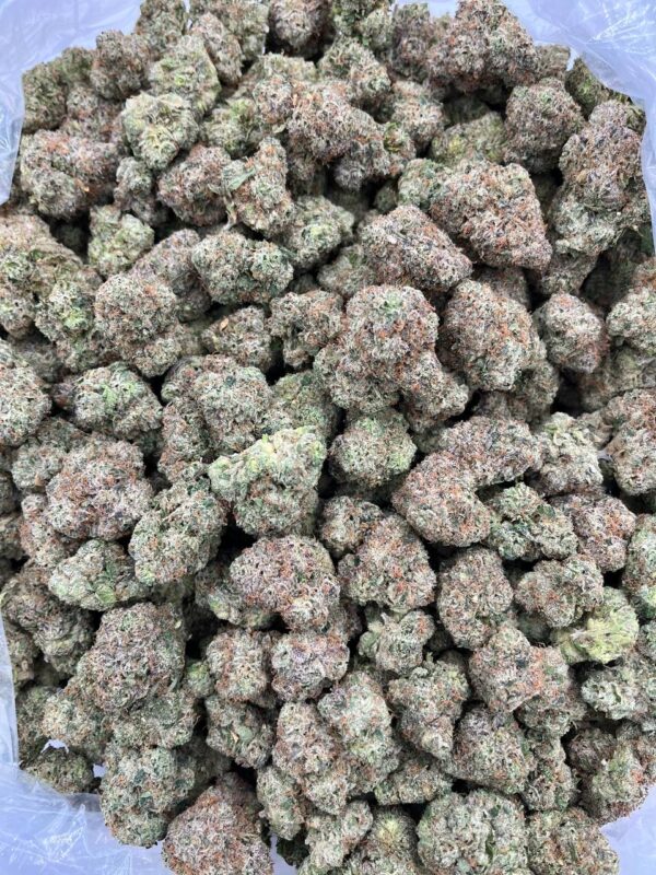 LEMON CRUMBLE BREAKDOWN - JL603LC4