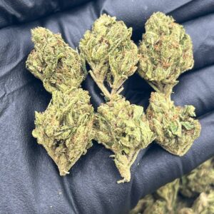 OG SMALLS - KO505OS