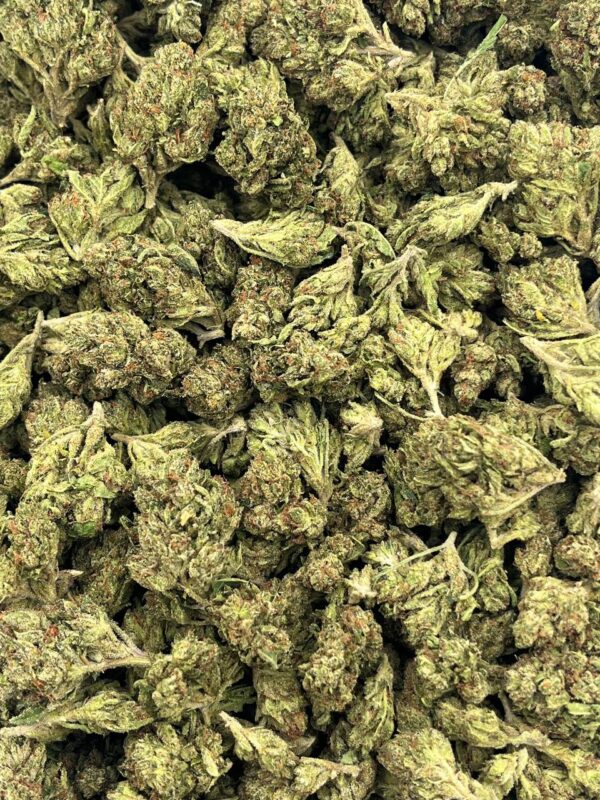 OG SMALLS - KO505OS