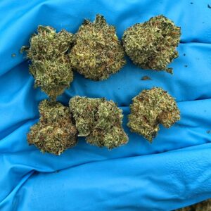 LEMON BERRY SMALLS - LB205