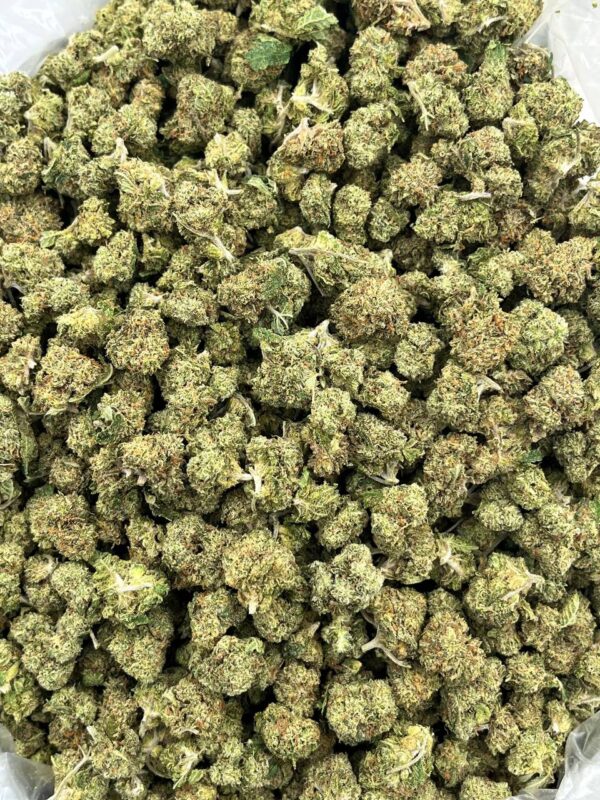 LEMON BERRY SMALLS - LB205