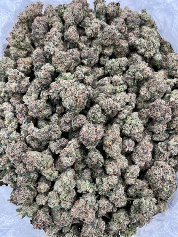 GUSHERS - LK520G4