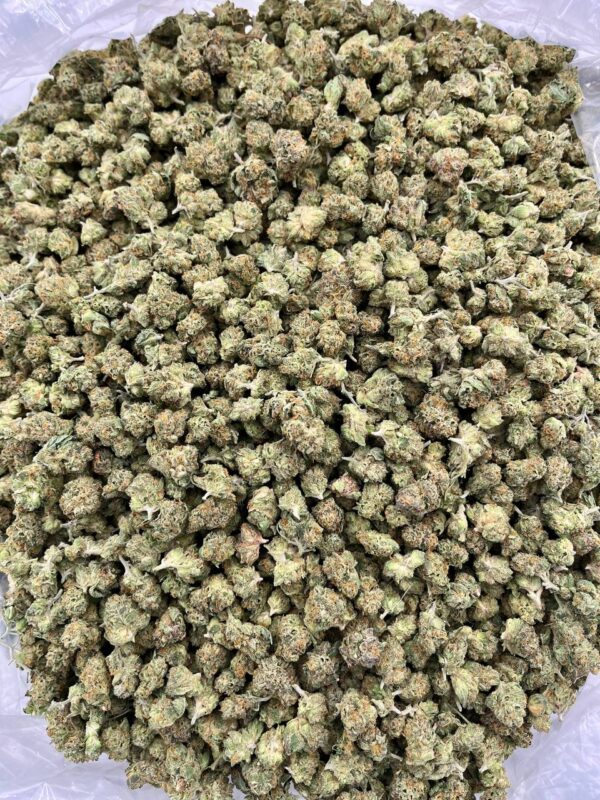 CAKE MIX SMALLS - LK528CS