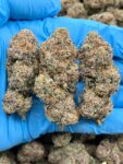 CHERRY RAINBOW GELATO - LK610CR