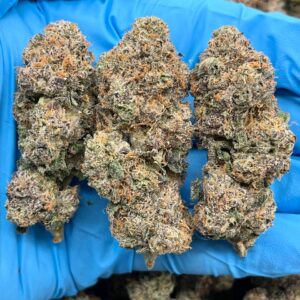 CHERRY RAINBOW GELATO - LK610CR