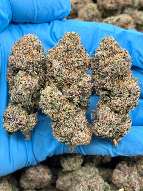 CHERRY RAINBOW GELATO - LK610CR