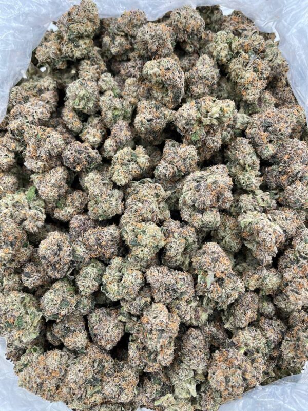 CHERRY RAINBOW GELATO - LK610CR