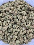 SUMMER FRUIT - LK616SF
