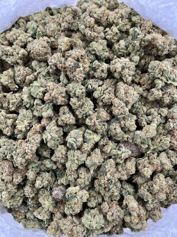 SUMMER FRUIT - LK616SF