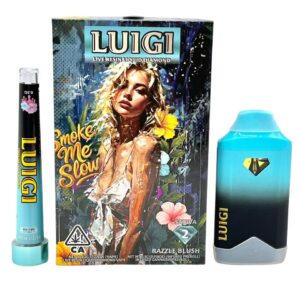 LUIGI 2G DISPO V8 – 2