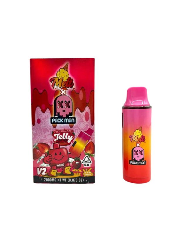 MELT X PACKMAN 2G DISPO V2