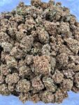 ARCTIC KUSH - ML206A