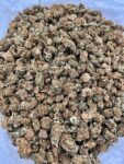 BUBBLEGUM SMALLS - ML206B