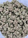 ZOOKIES - PH605ZK