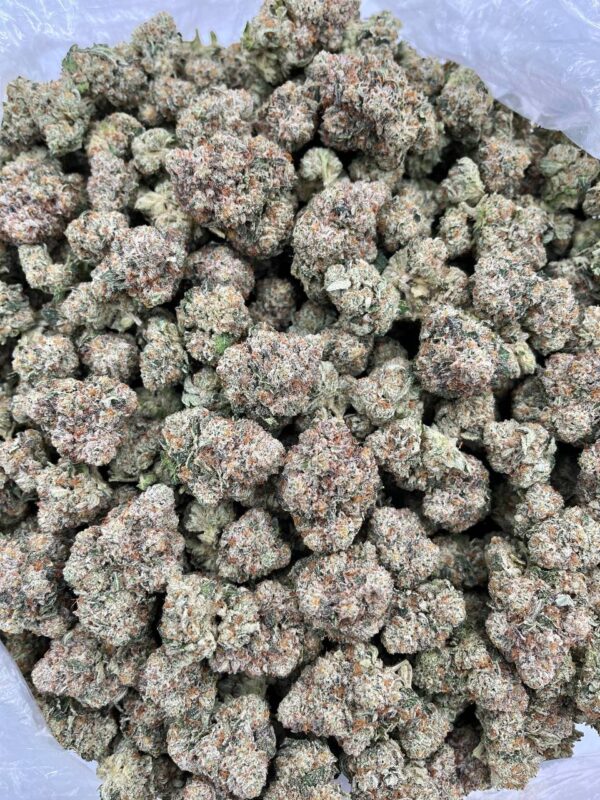 ZOOKIES - PH605ZK