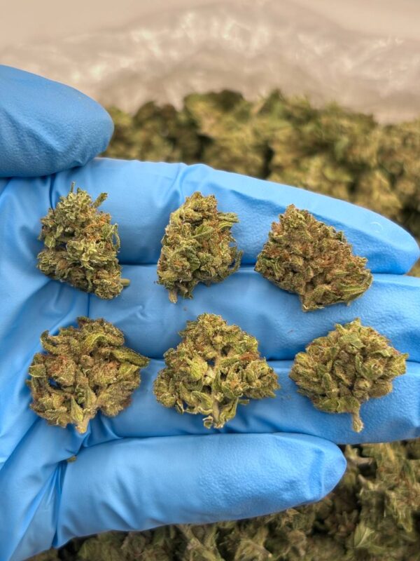 OREO COOKIES - SK1009OZ