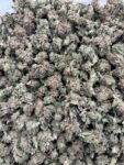 OREO COOKIES - SK1009OZ