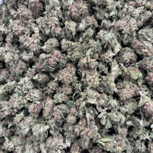 SK1009OZ – 2