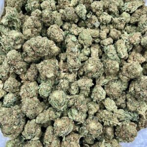 SO508DG – 2
