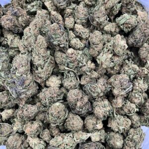 SO508DR – 2