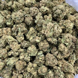 SO519KP – 2
