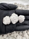 SNOWBALLS - STY220