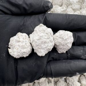 SNOWBALLS - STY220