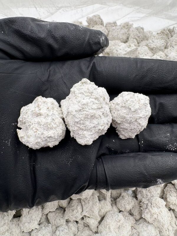 SNOWBALLS - STY220