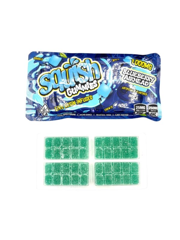 SQUISH GUMMIES EDIBLES 1000MG