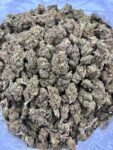 LEMON CHERRY HAZE - TY408LCH