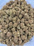 COOKIE KRISP - TY423CK