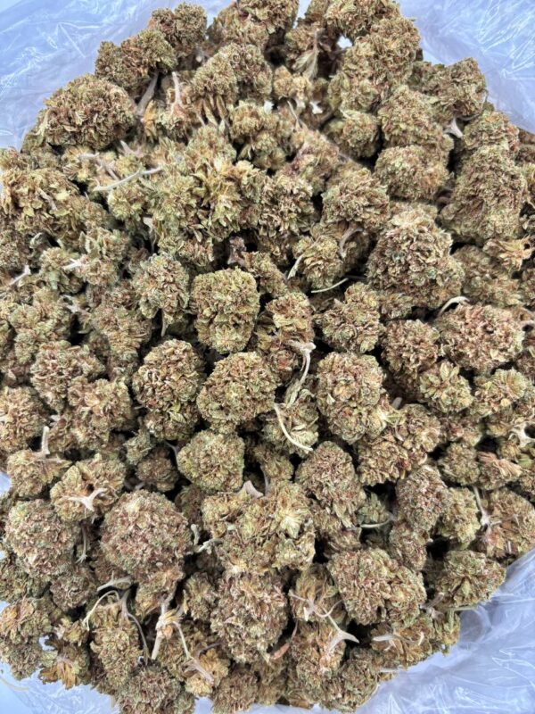 COOKIE KRISP - TY423CK