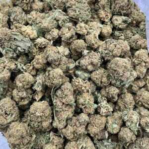 TY602DR – 3