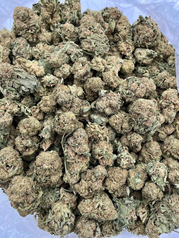 DRAGON CANDY - TY602DR