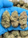 ZKITTLEZ - UN527ZK