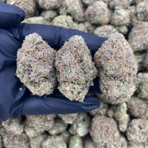 ZKITTLEZ - UN527ZK