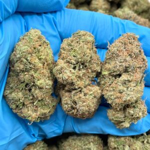 ZKITTLEZ - UN527ZK