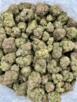 ZKITTLEZ - UN527ZK