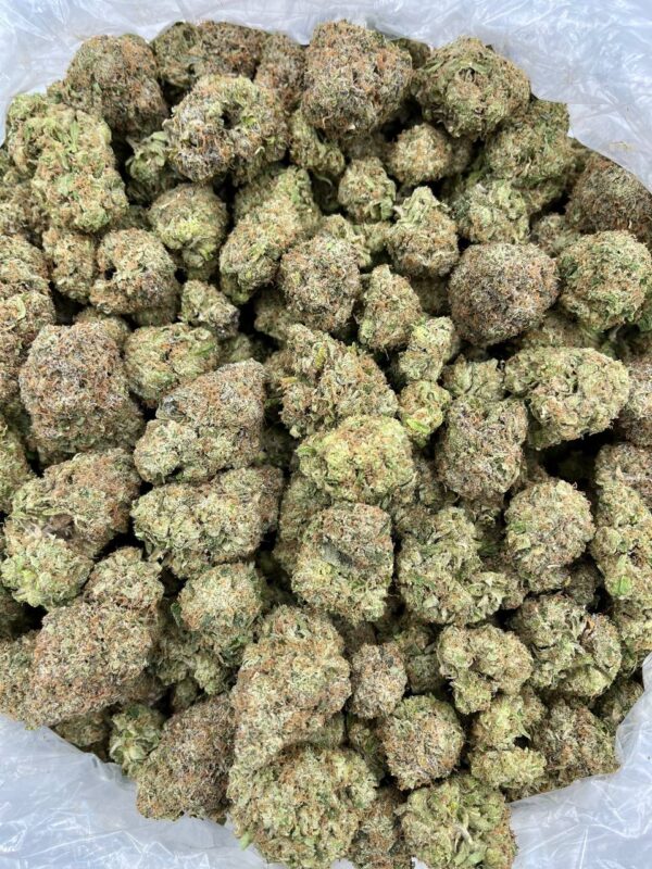 ZKITTLEZ - UN527ZK