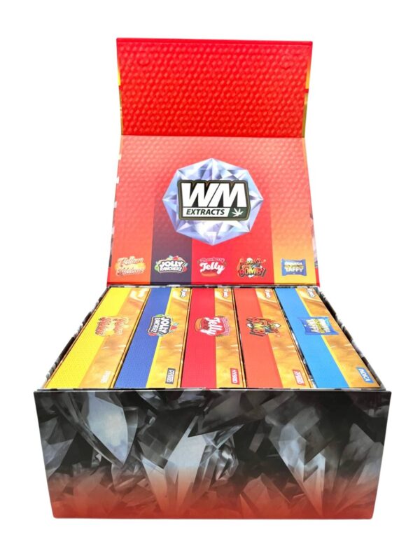 WHOLE MELT 2G DISPO V4
