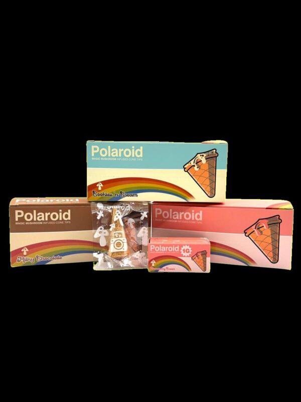 Polaroid Mushroom Cones