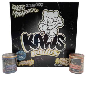 KAWS Moonrocks - Exotic