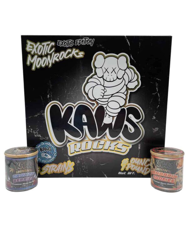 KAWS Moonrocks - Exotic