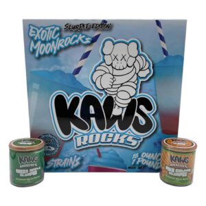 KAWS Moonrocks - Slurpee